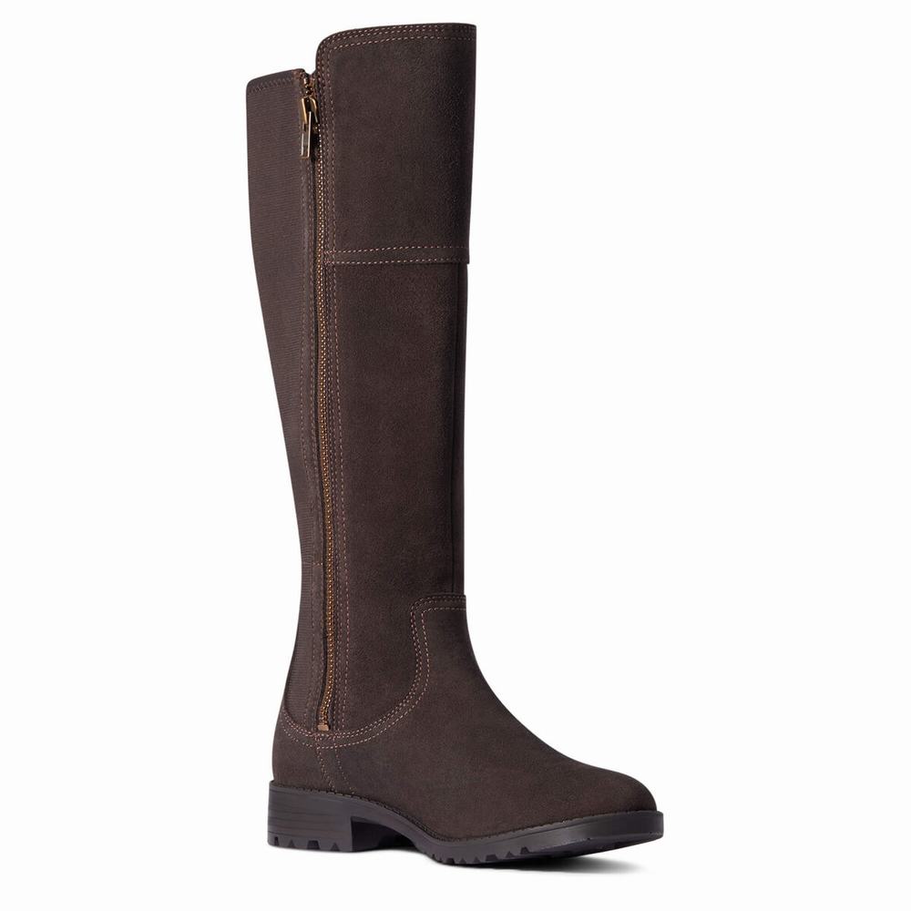 Chocolate Ariat Sutton II Waterproof Women's Dress Boots | LNUX85296