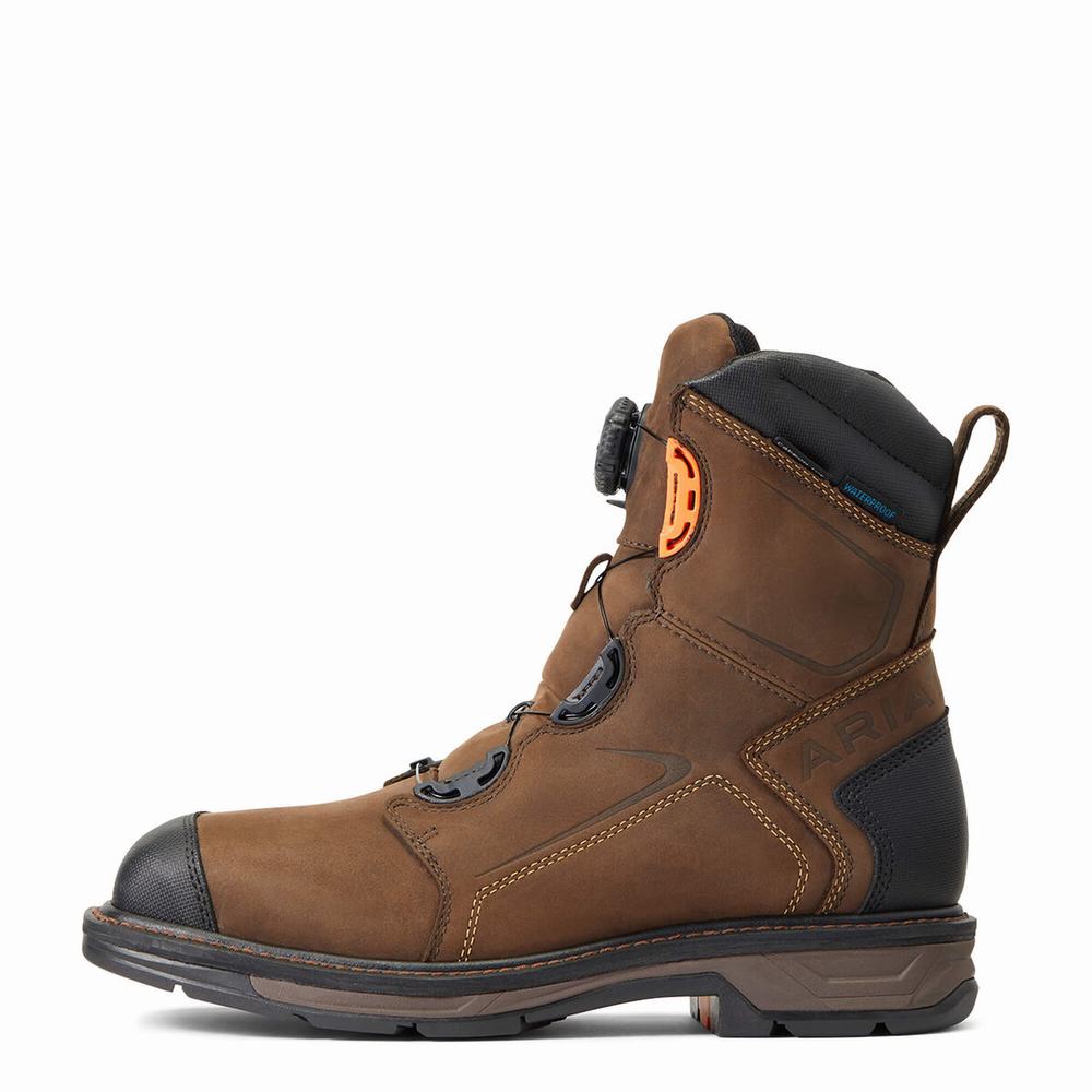 Chocolate Brown Ariat WorkHog XT 8