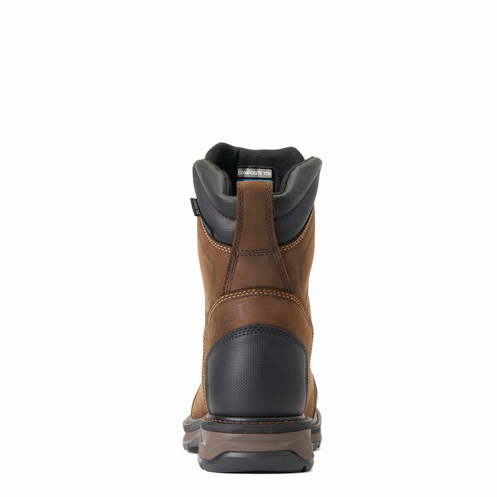 Chocolate Brown Ariat WorkHog XT 8