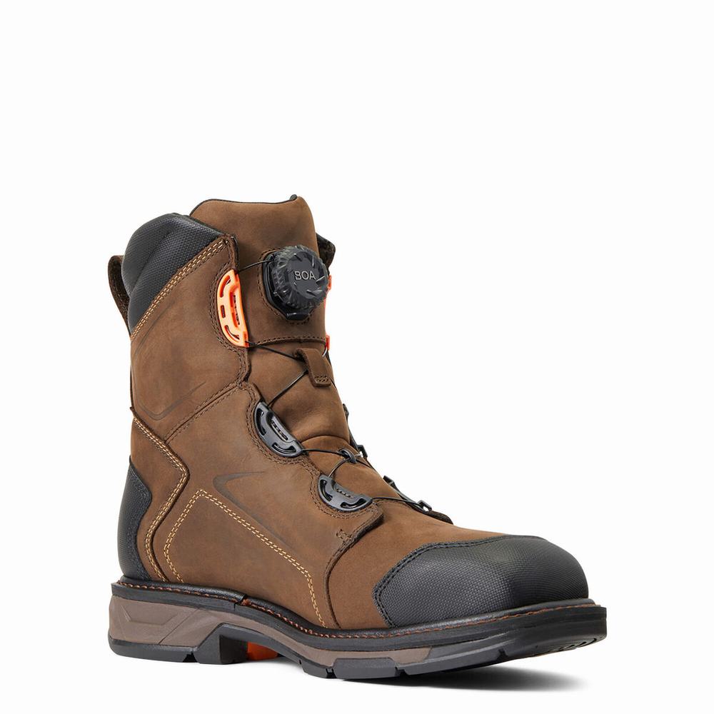 Chocolate Brown Ariat WorkHog XT 8