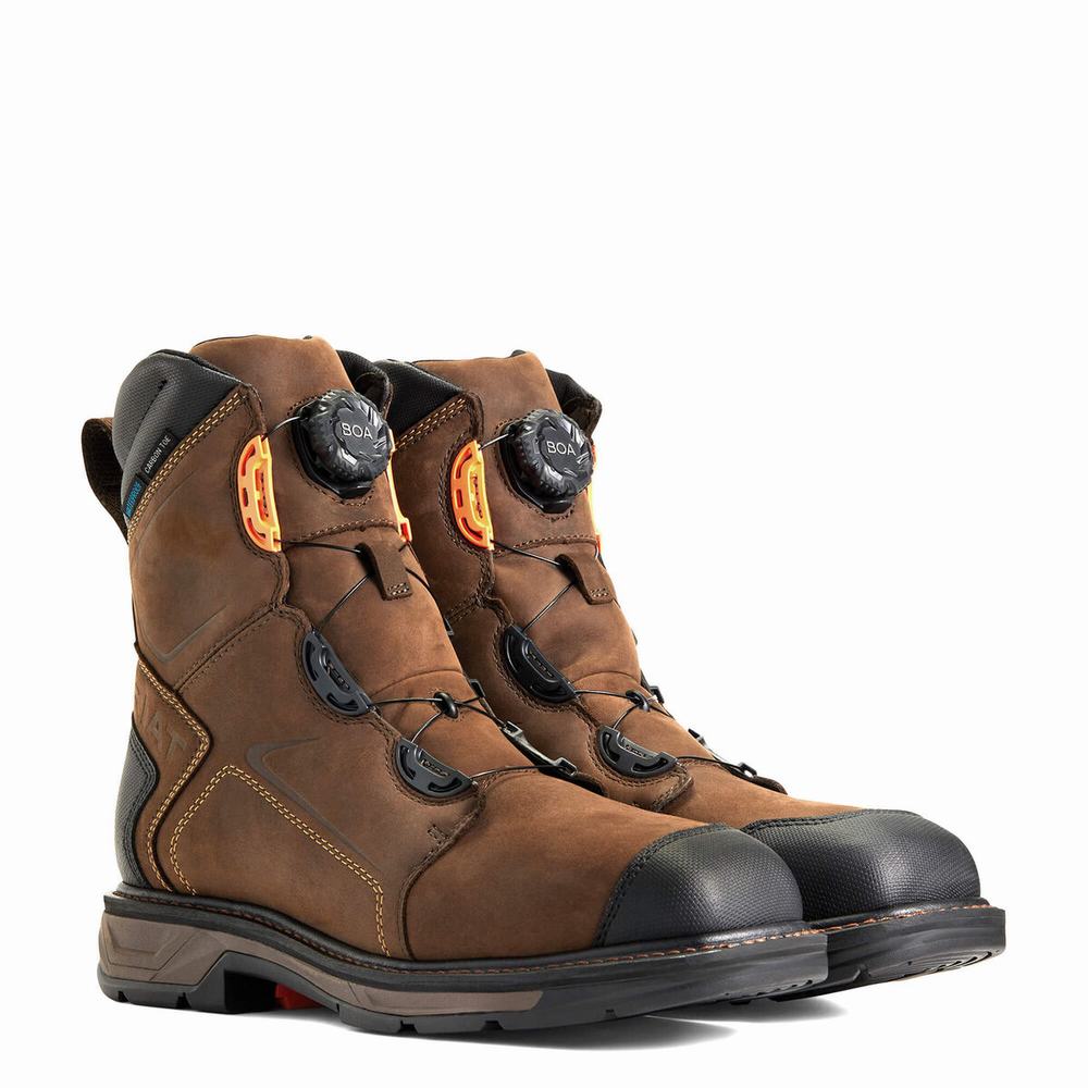 Chocolate Brown Ariat WorkHog XT 8