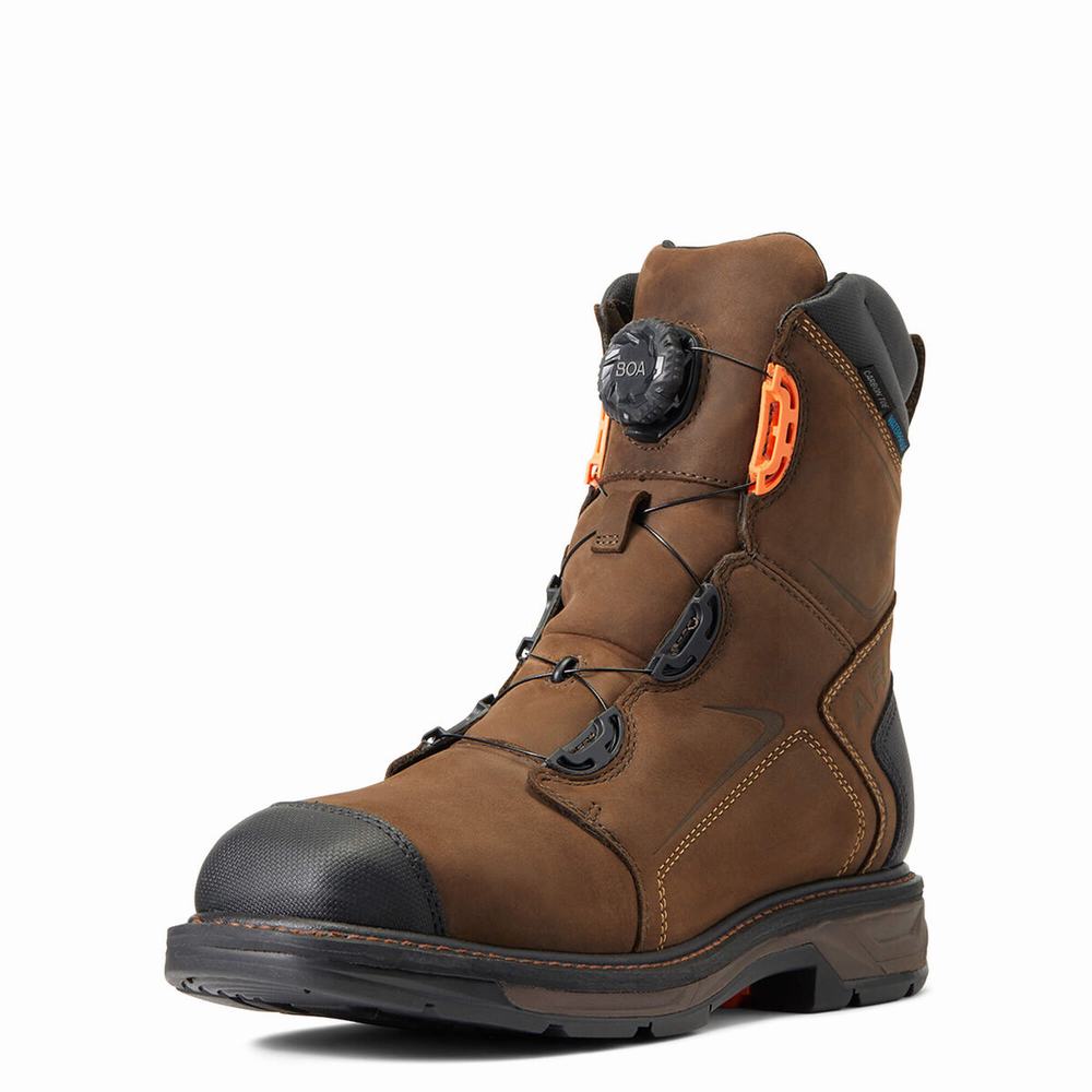 Chocolate Brown Ariat WorkHog XT 8\