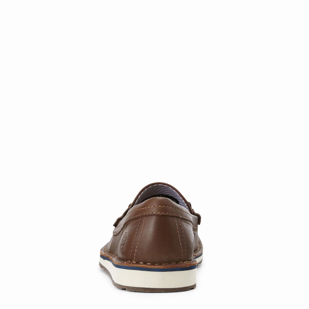 Chocolate Navy Ariat Ivy Cruiser Women's Sneakers | YJIS08912