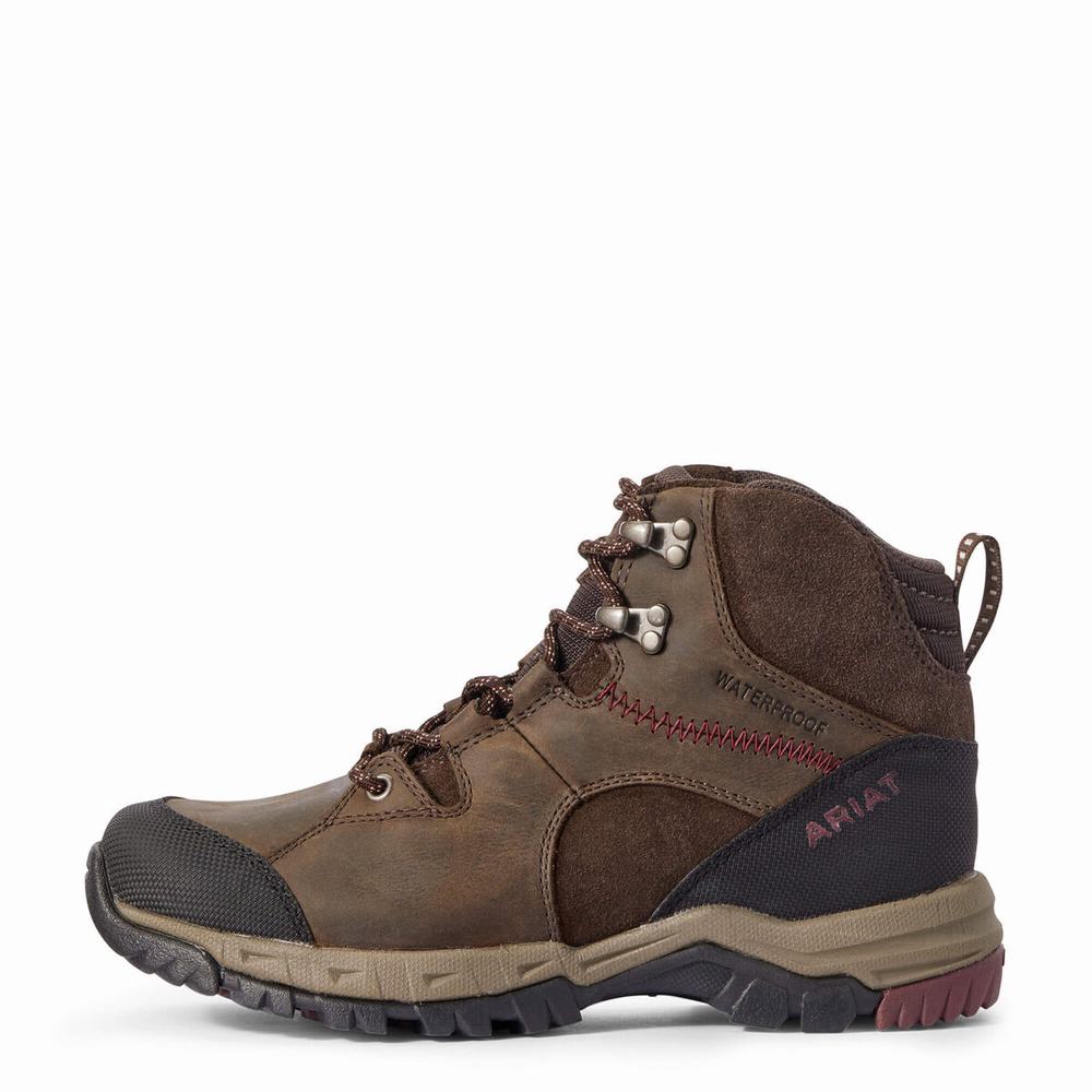 Dark Brown Ariat Skyline Mid Waterproof Women's Hiking Boots | TFAX36840