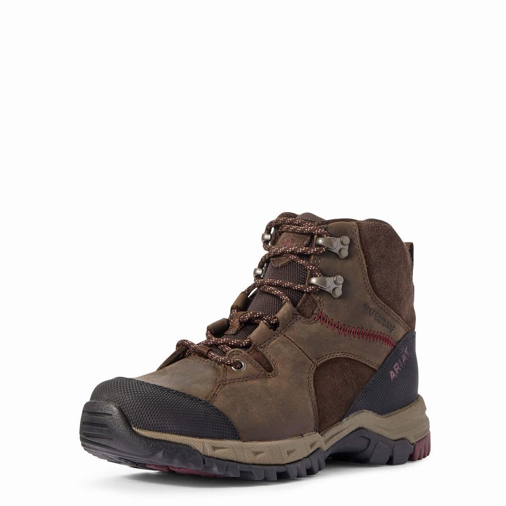 Dark Brown Ariat Skyline Mid Waterproof Women\'s Hiking Boots | TFAX36840