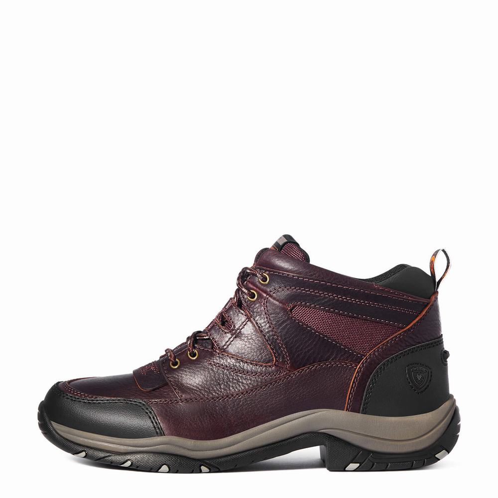 Dark Brown Ariat Terrain Men's Hiking Boots | QROG09762