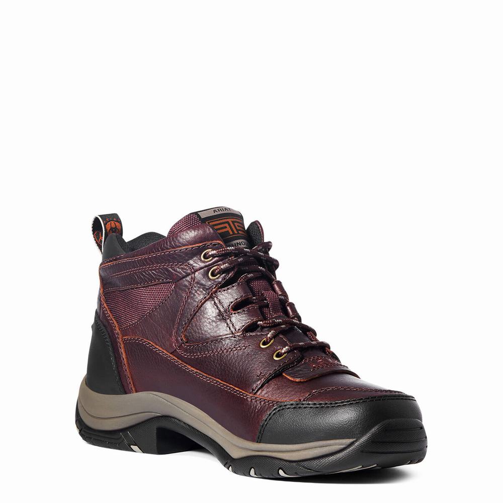 Dark Brown Ariat Terrain Men's Hiking Boots | QROG09762