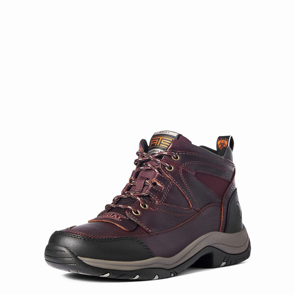 Dark Brown Ariat Terrain Men\'s Hiking Boots | QROG09762