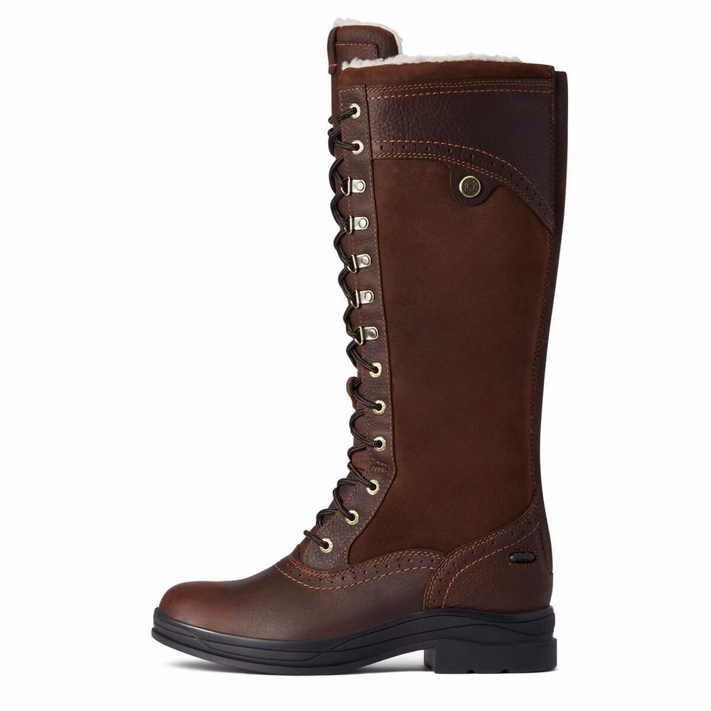 Dark Brown Ariat Wythburn Tall Waterproof Women's English Riding Boots | ZEUB85721