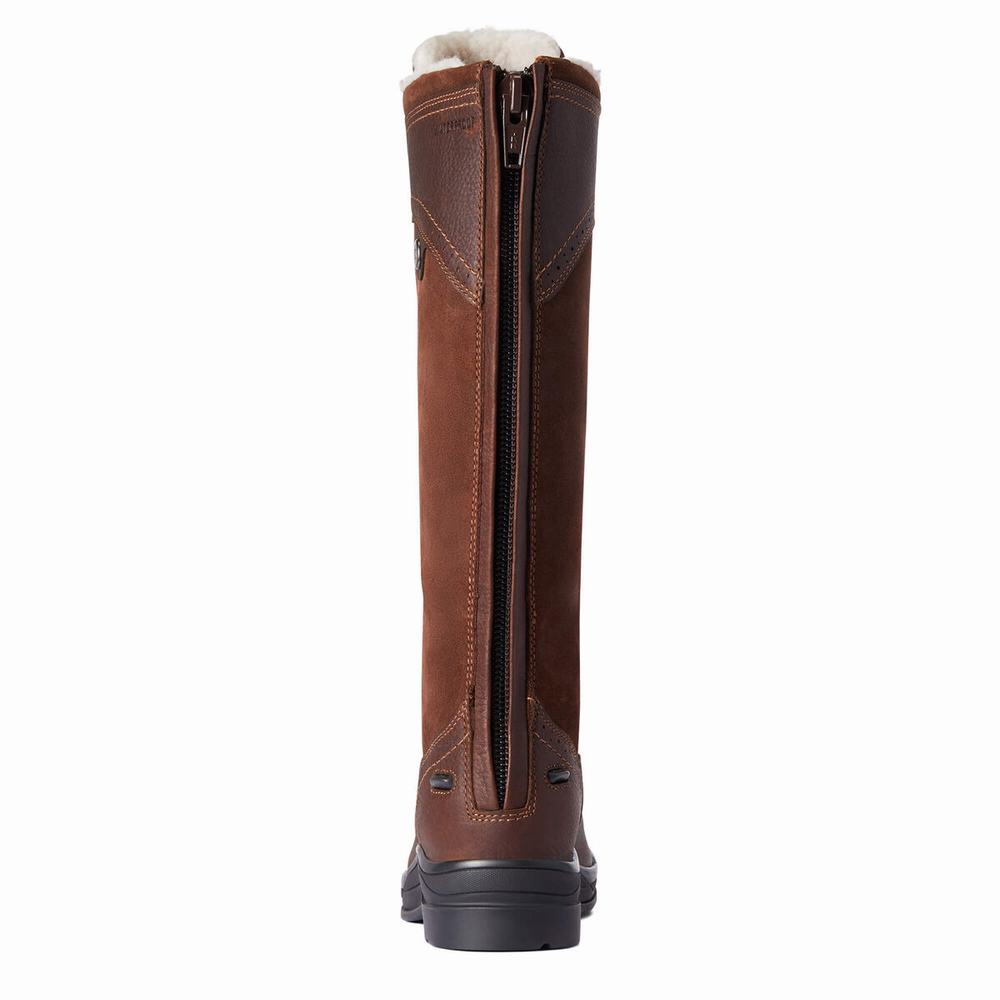 Dark Brown Ariat Wythburn Tall Waterproof Women's English Riding Boots | ZEUB85721