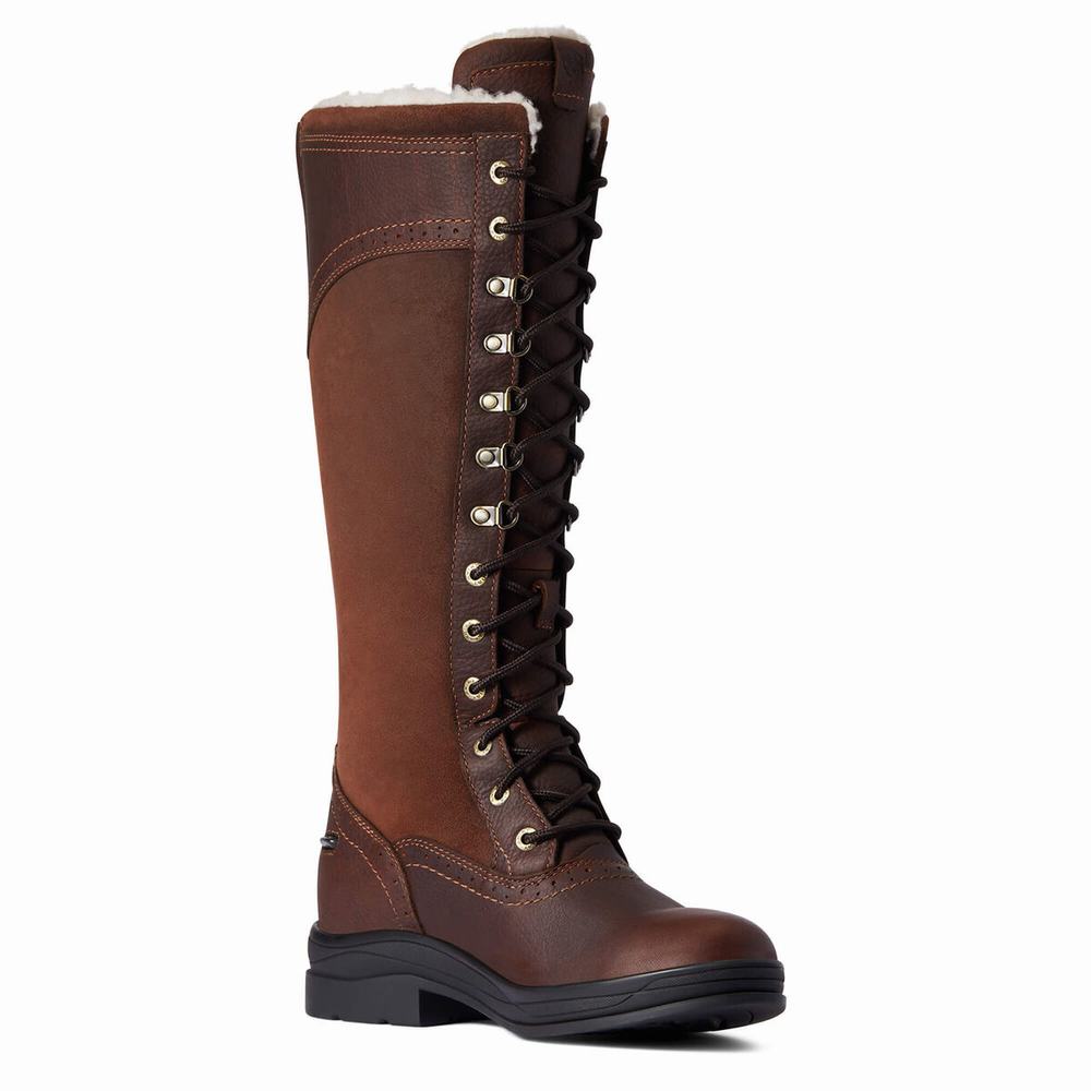 Dark Brown Ariat Wythburn Tall Waterproof Women's English Riding Boots | ZEUB85721