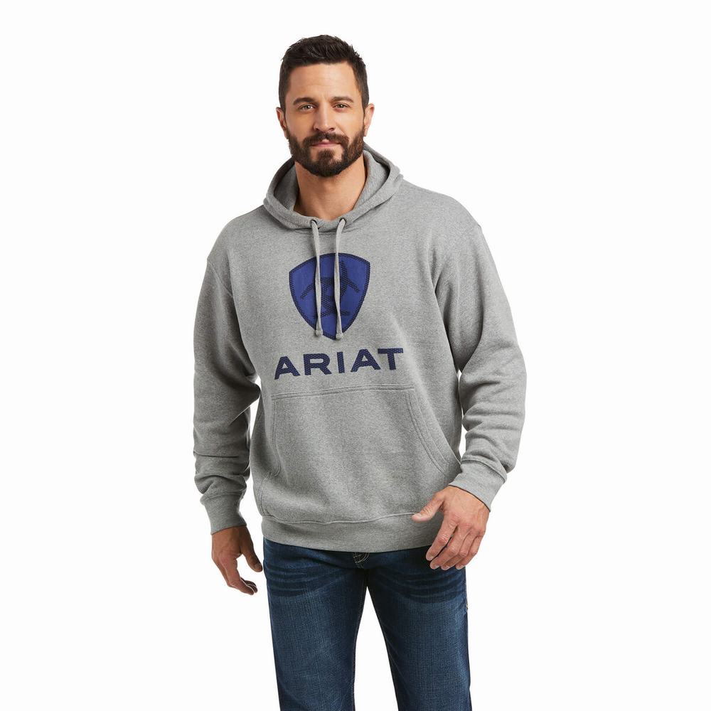 Deep Blue Ariat Basic Men\'s Hoodies | TPNX80293