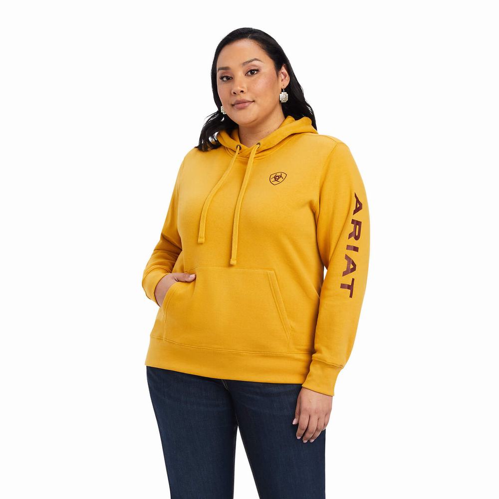 Gold Ariat REAL Classic Arm Logo Women's Hoodies | YLVM58073