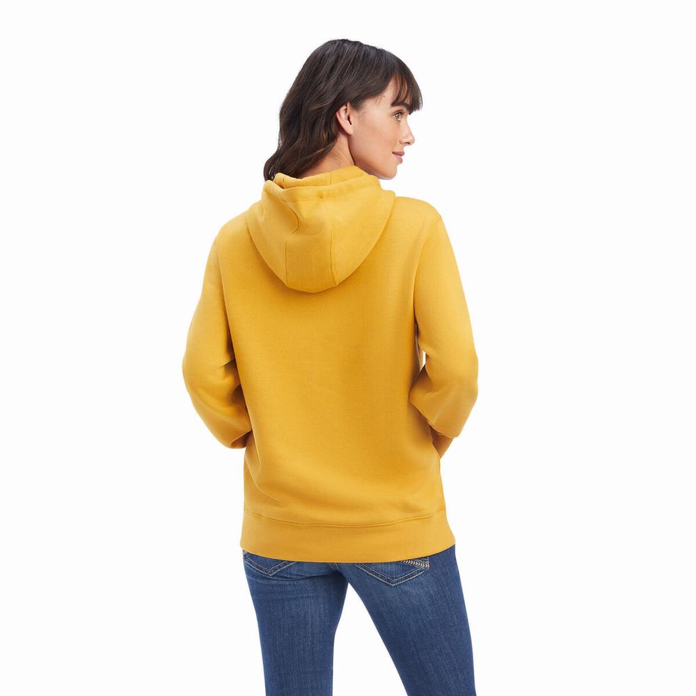 Gold Ariat REAL Classic Arm Logo Women's Hoodies | YLVM58073