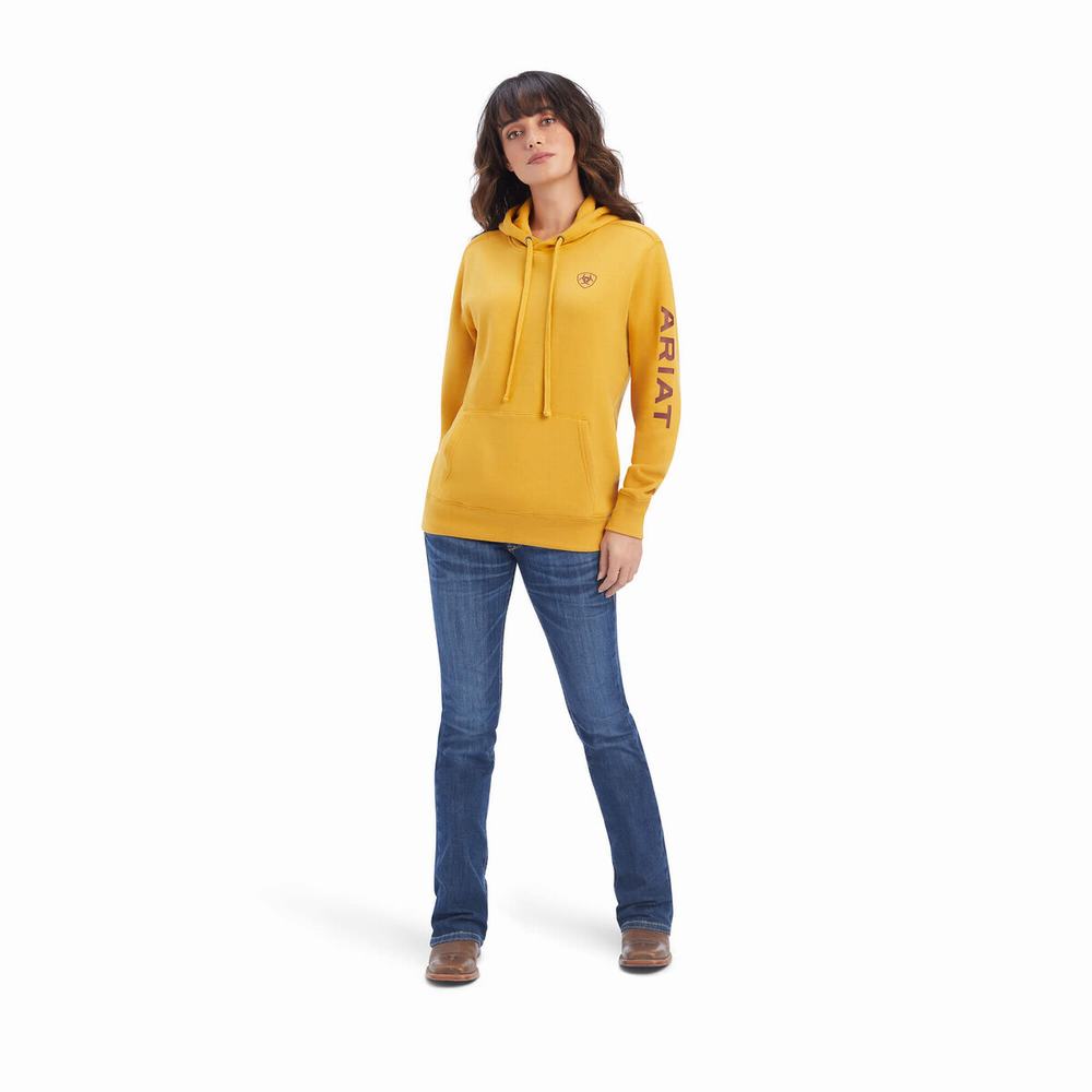 Gold Ariat REAL Classic Arm Logo Women's Hoodies | YLVM58073