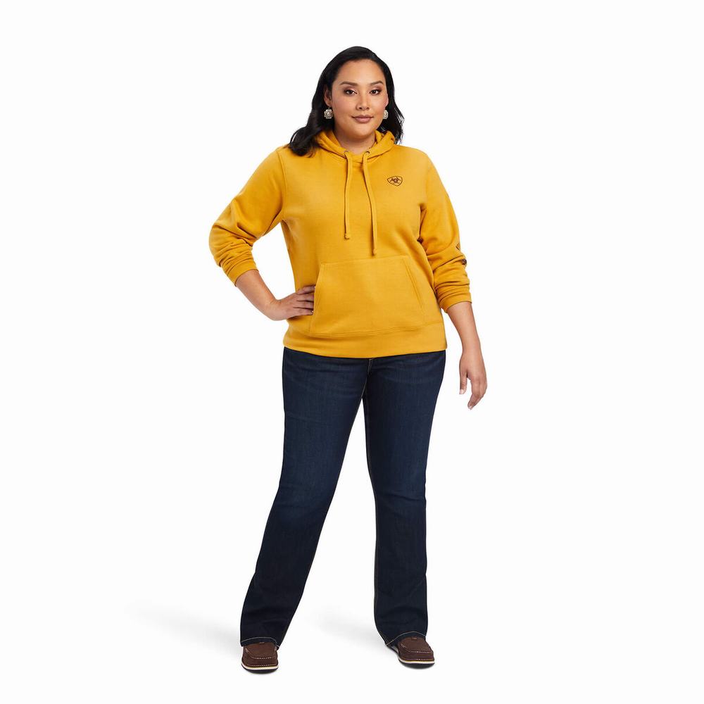 Gold Ariat REAL Classic Arm Logo Women's Hoodies | YLVM58073