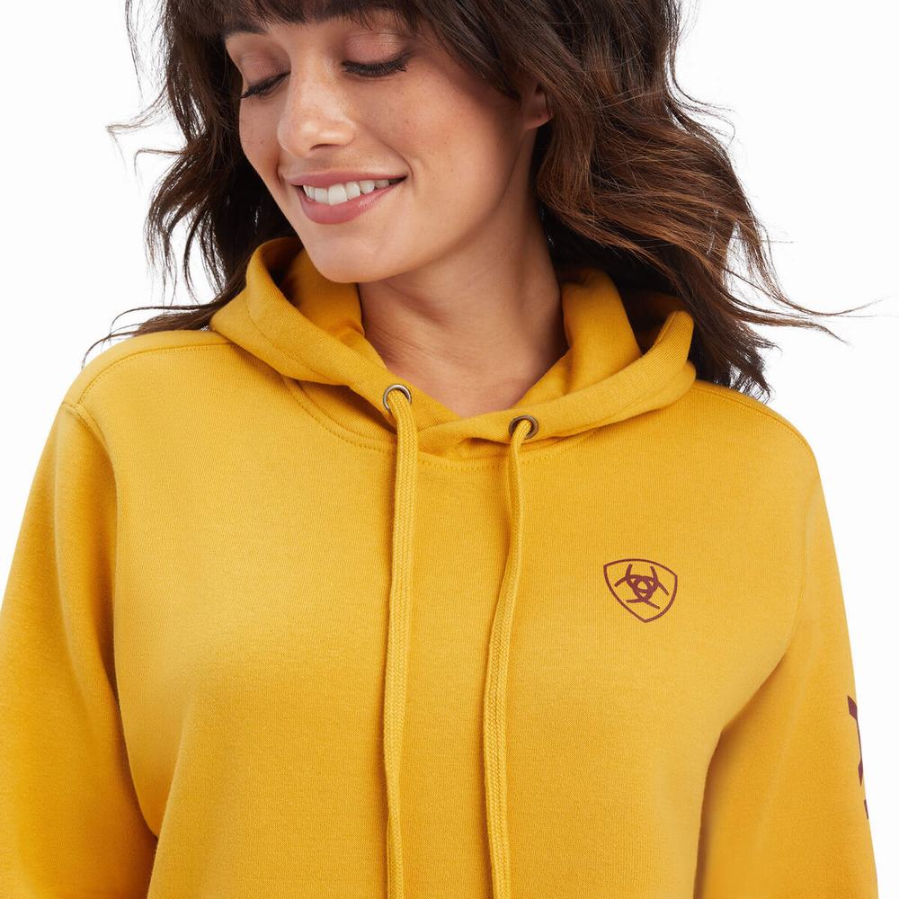 Gold Ariat REAL Classic Arm Logo Women's Hoodies | YLVM58073