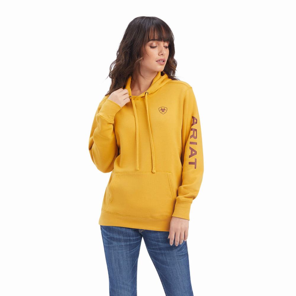 Gold Ariat REAL Classic Arm Logo Women\'s Hoodies | YLVM58073