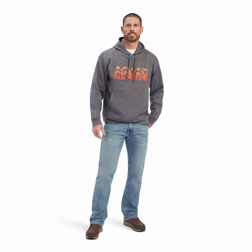 Grey Ariat Desert Roam Men's Hoodies | GSDZ81735