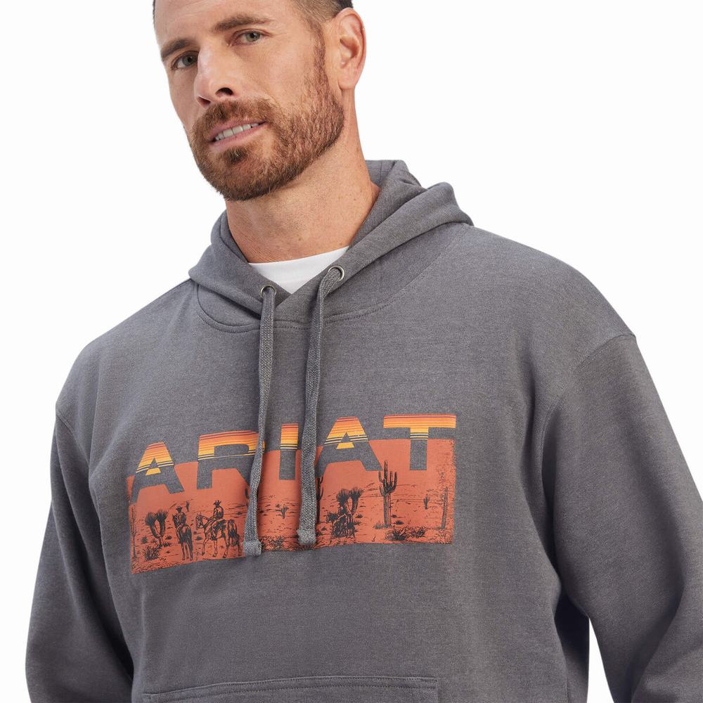 Grey Ariat Desert Roam Men's Hoodies | GSDZ81735