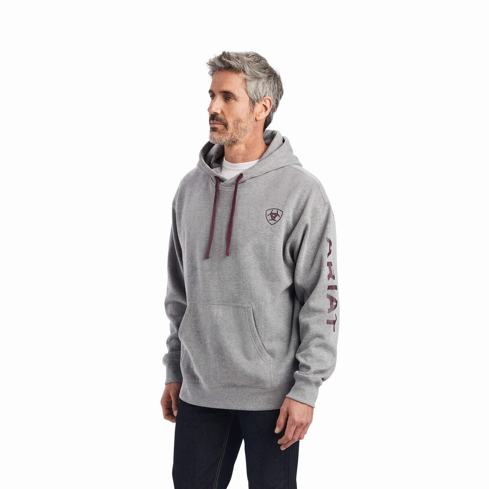 Grey Ariat Logo Men\'s Hoodies | ILRD54710