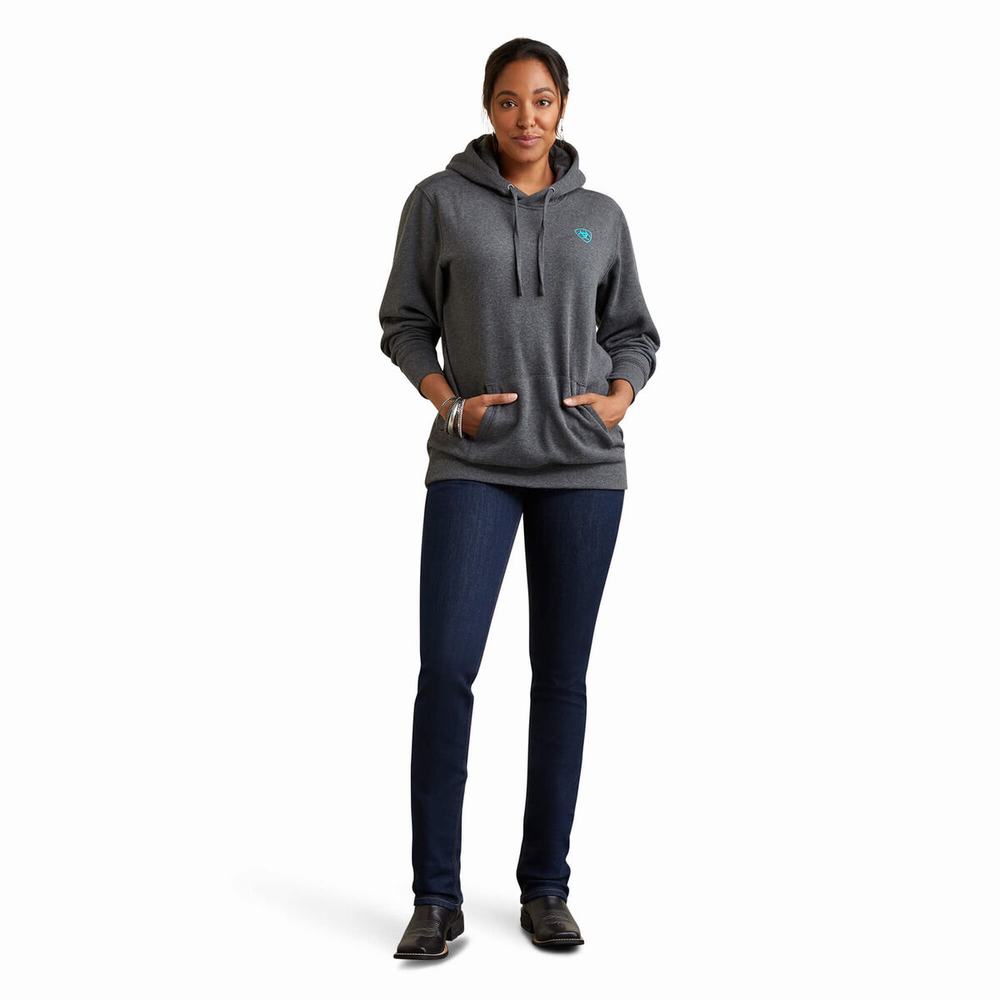 Grey Ariat Logo Women's Hoodies | DXQW60715