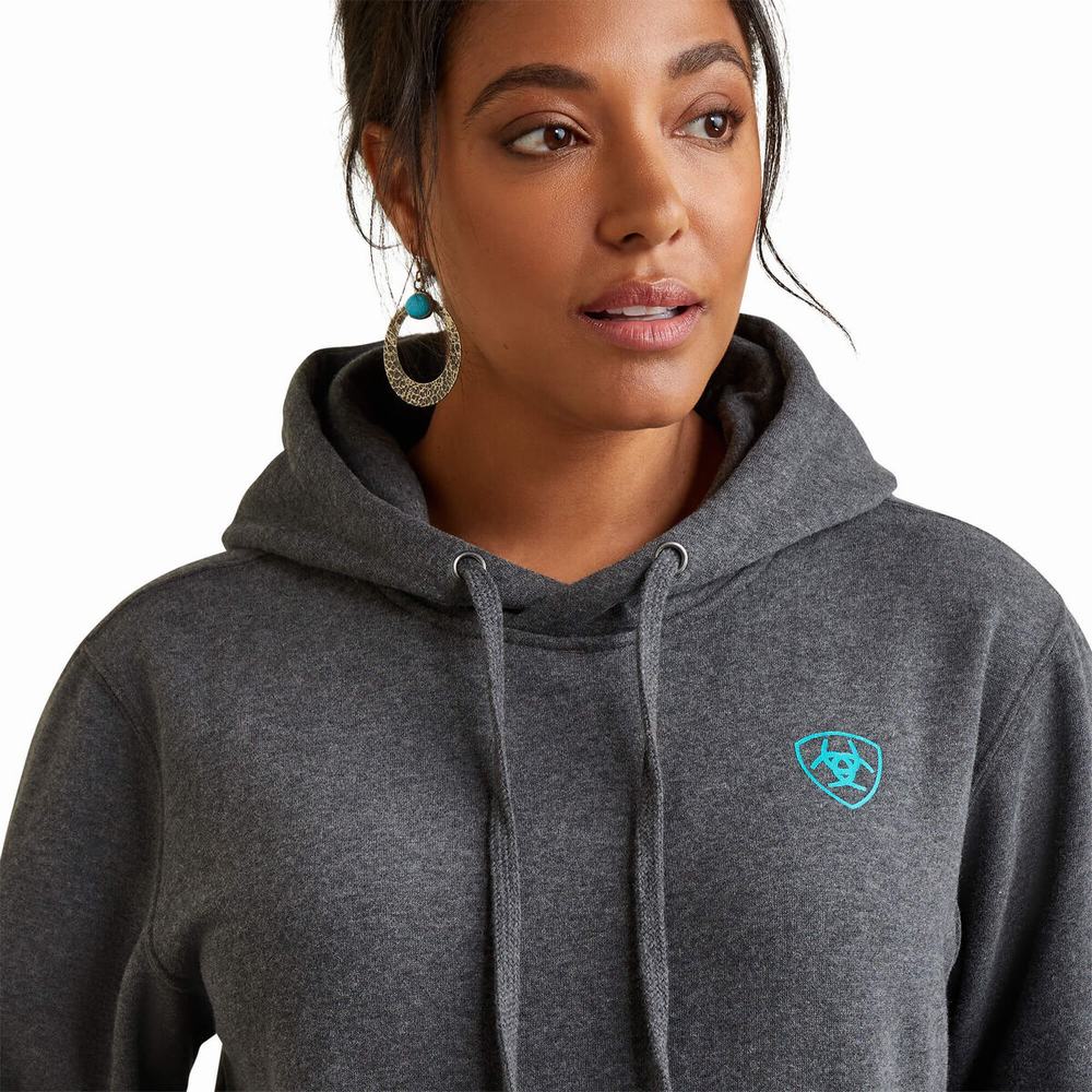 Grey Ariat Logo Women's Hoodies | DXQW60715