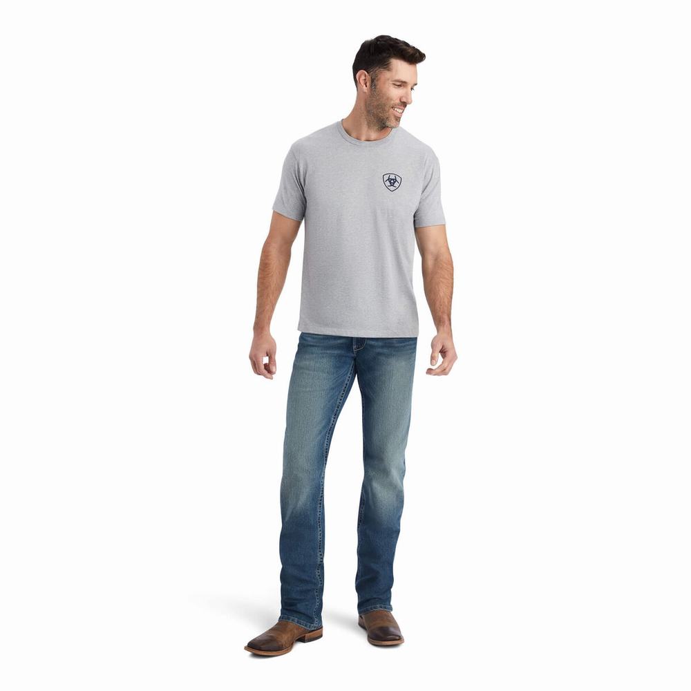 Grey Ariat Lucky Horseshoe Men's Polo Shirts | NLYK93802