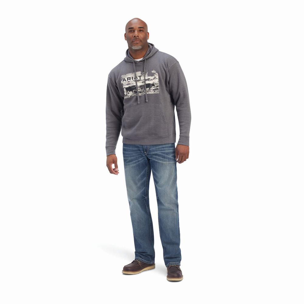 Grey Ariat Pastures Men's Hoodies | QUSV30496