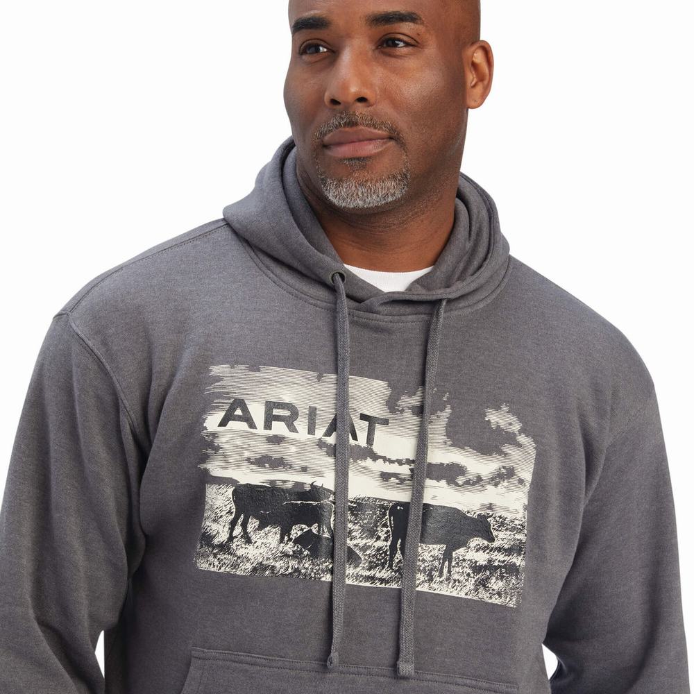 Grey Ariat Pastures Men's Hoodies | QUSV30496