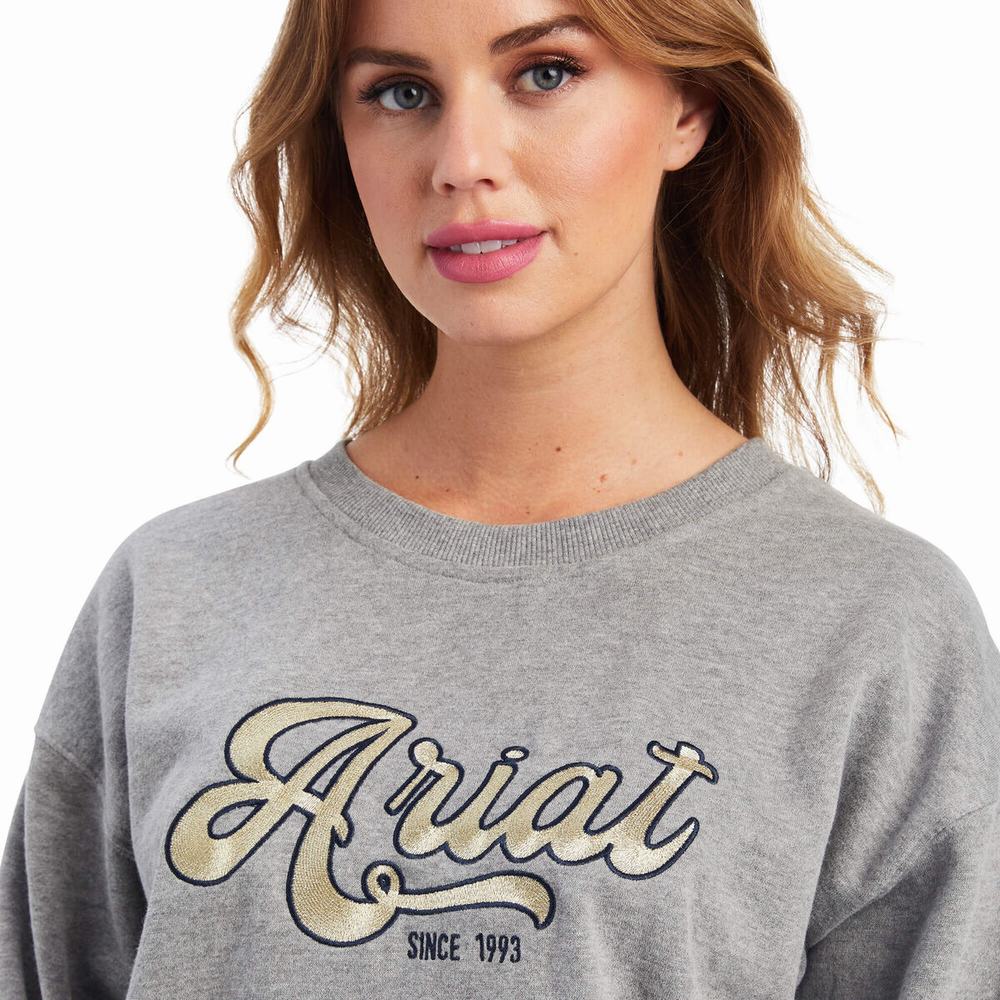 Grey Ariat REAL Metallic Varsity Logo Women's Hoodies | XYRG69370