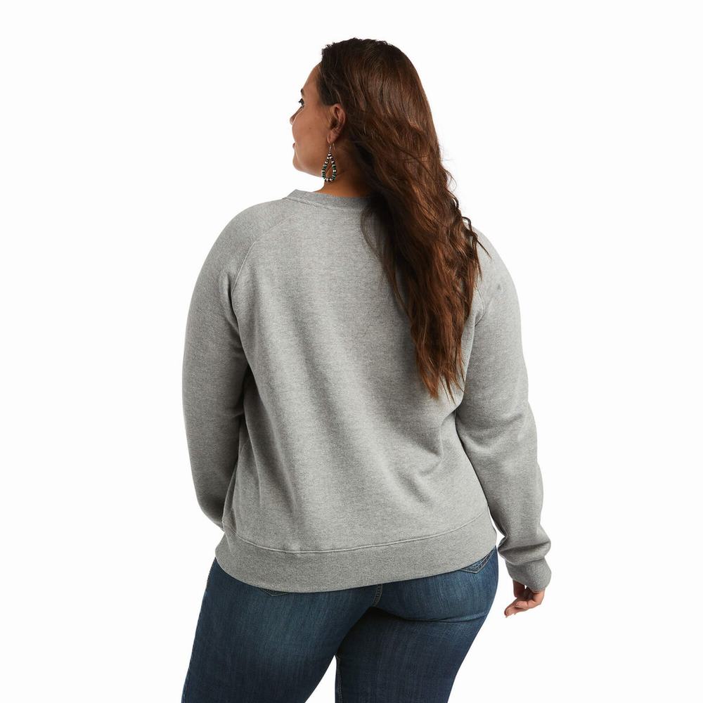 Grey Ariat REAL Pacific Steerhead Women's Hoodies | UMFQ79143