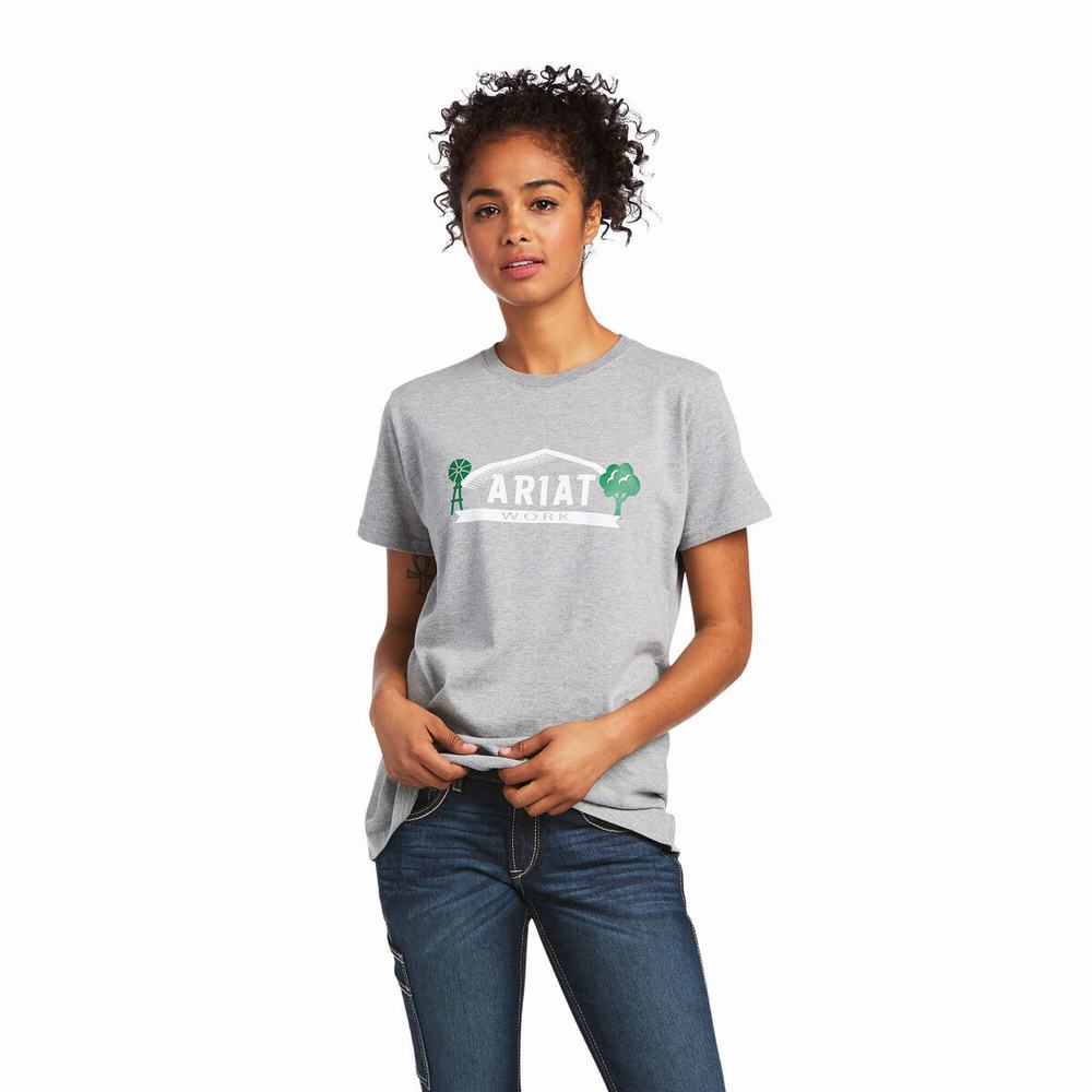 Grey Ariat Rebar Cotton Strong Farm Graphic Women\'s Tops | OVXL81326