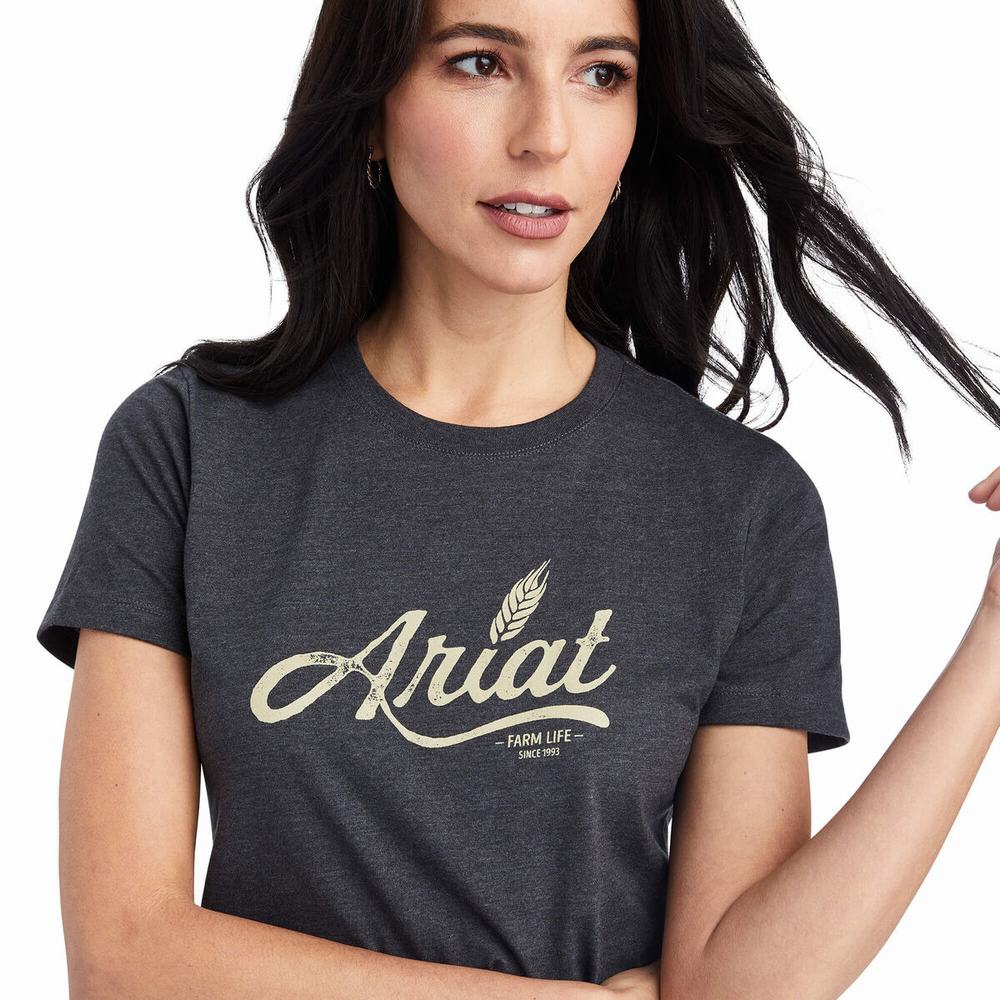 Grey Ariat Wheat Script Women's Tops | FZIQ76842