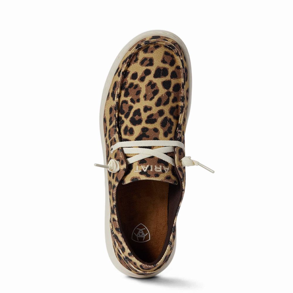 Leopard Ariat Hilo Women's Sneakers | NZJY32586