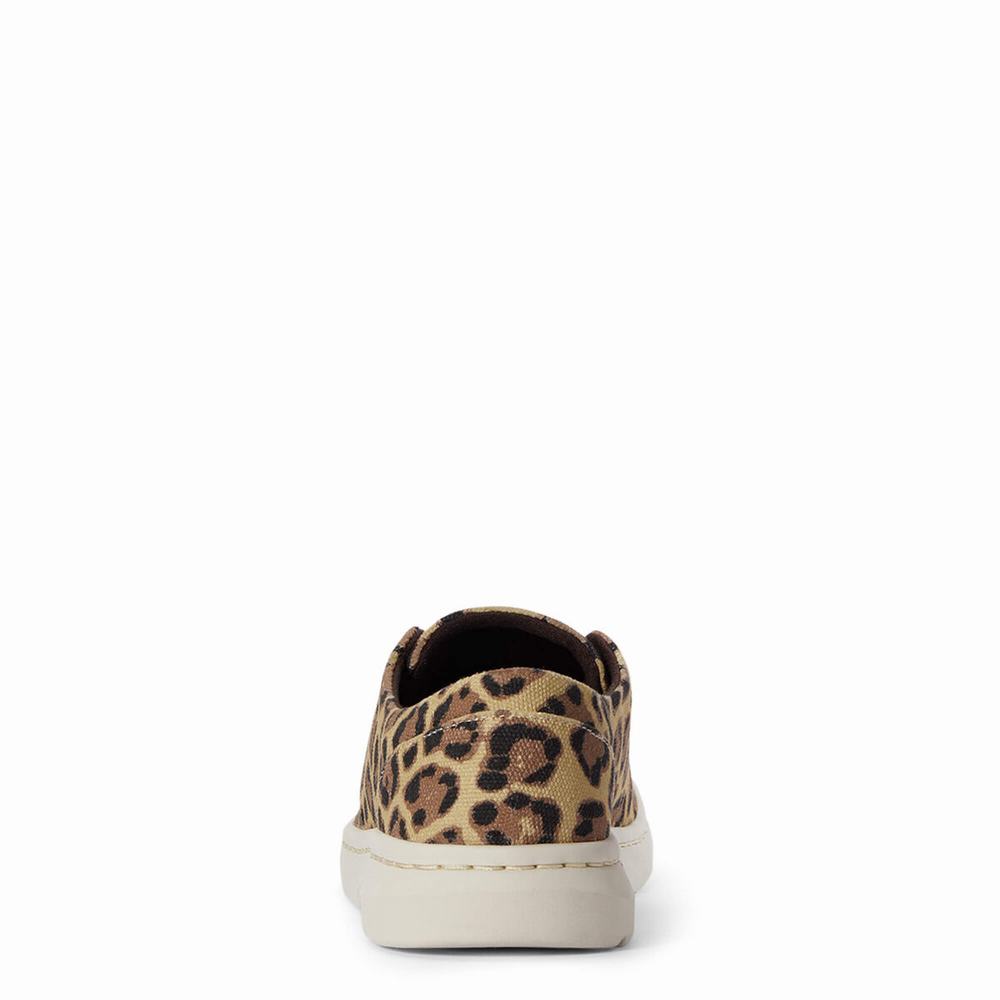 Leopard Ariat Hilo Women's Sneakers | NZJY32586