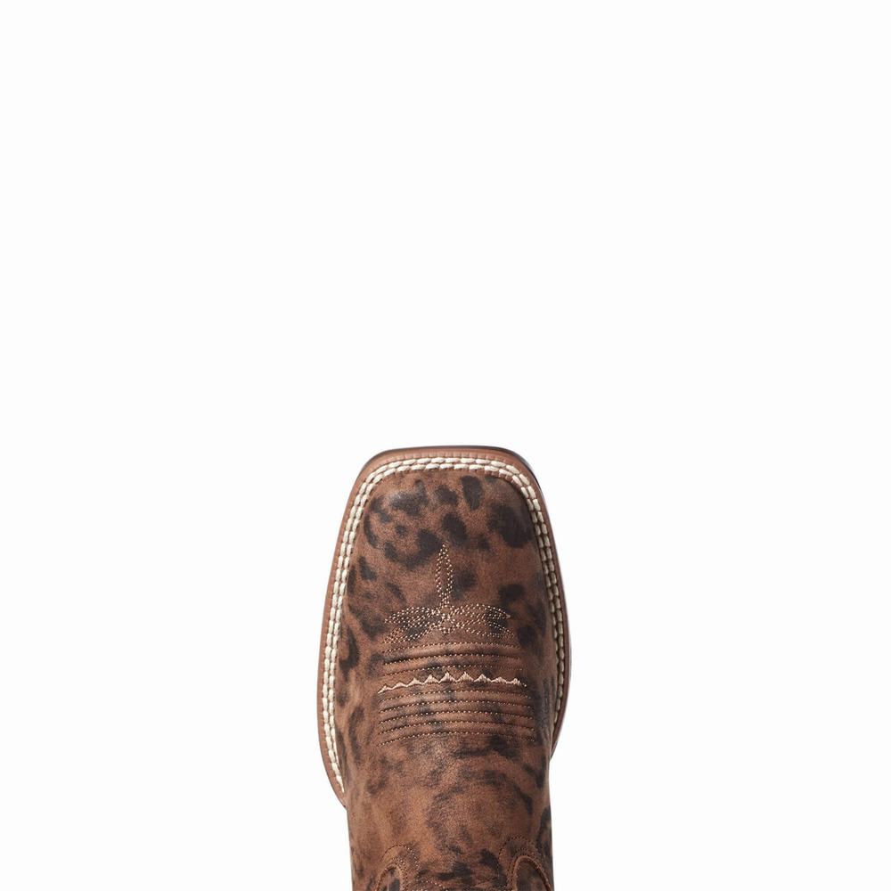 Leopard Ariat PrimeTime Women's Western Boots | YZQH39862