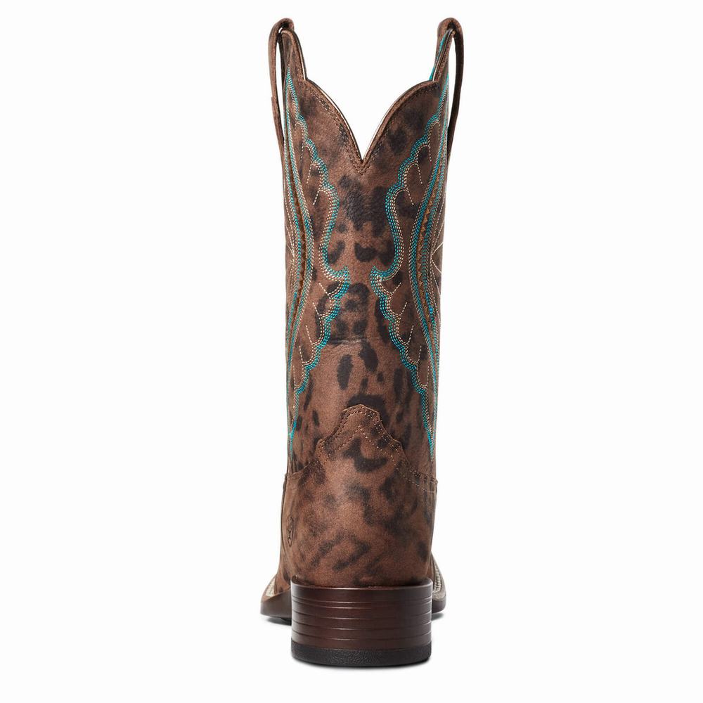 Leopard Ariat PrimeTime Women's Western Boots | YZQH39862