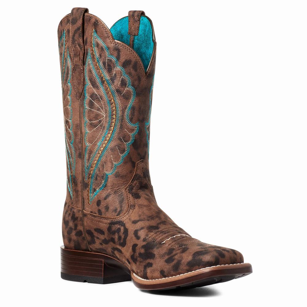 Leopard Ariat PrimeTime Women's Western Boots | YZQH39862