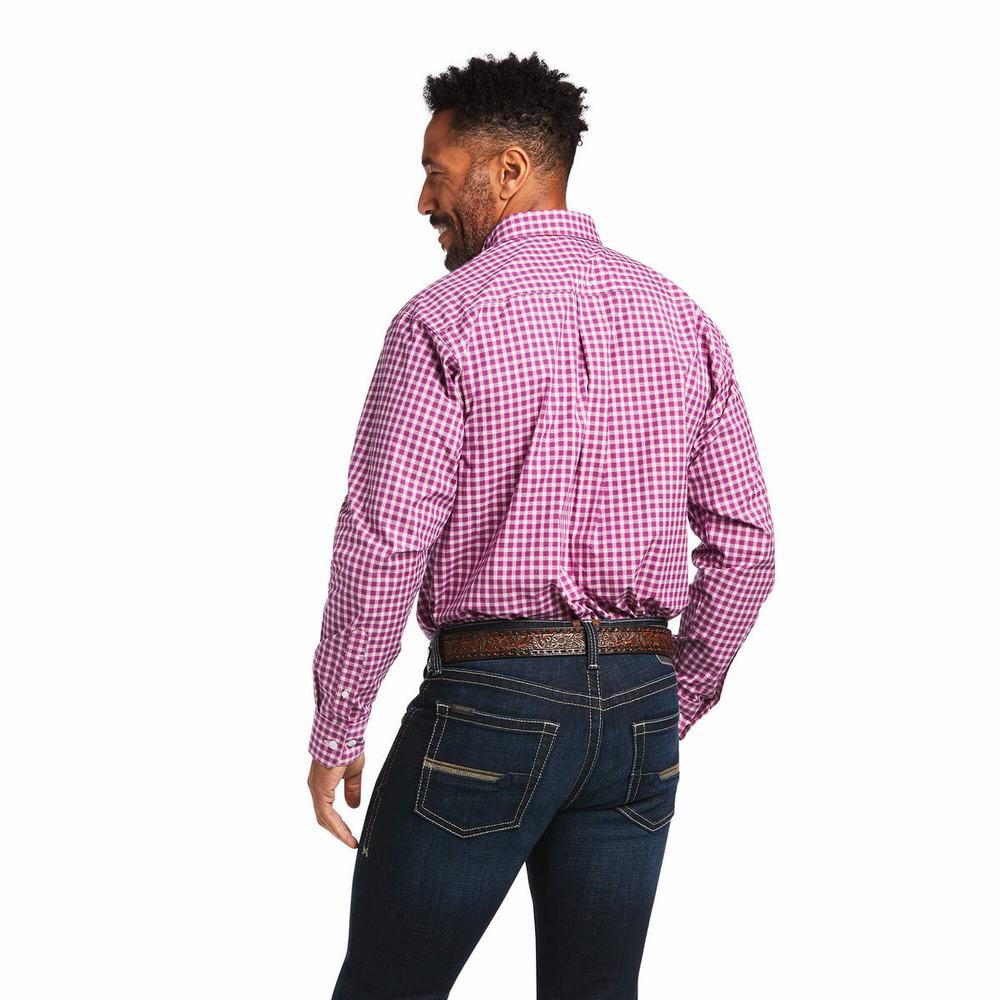 Light Rose Ariat Pro Series Alexander Classic Fit Men's Shirts | YQDK68150