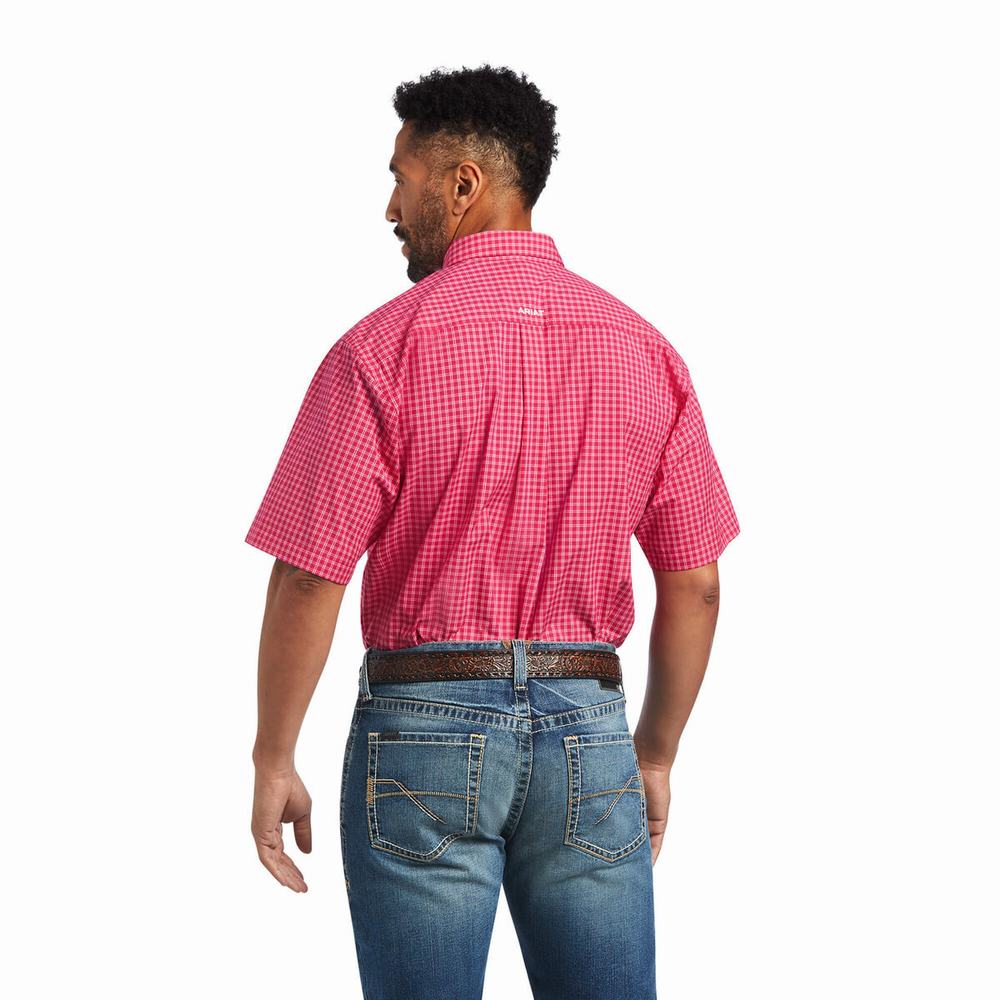 Light Rose Ariat Pro Series Miles Classic Fit Men's Shirts | CKIP03246