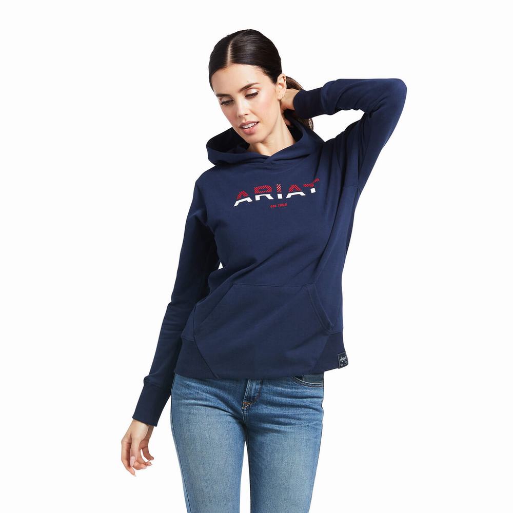 Navy Ariat 3D Logo 2.0 Women\'s Hoodies | DGIK37012