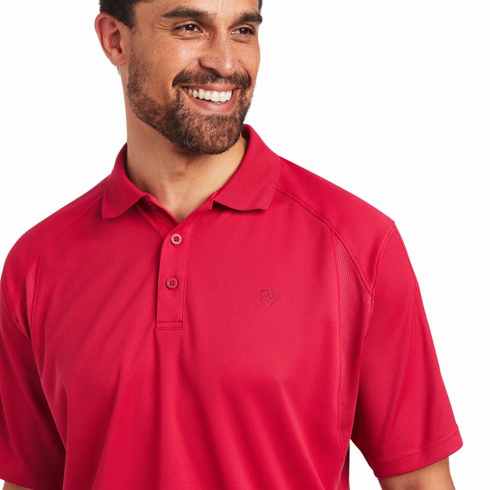 Pink Ariat AC Men's Polo Shirts | ZBIO19783