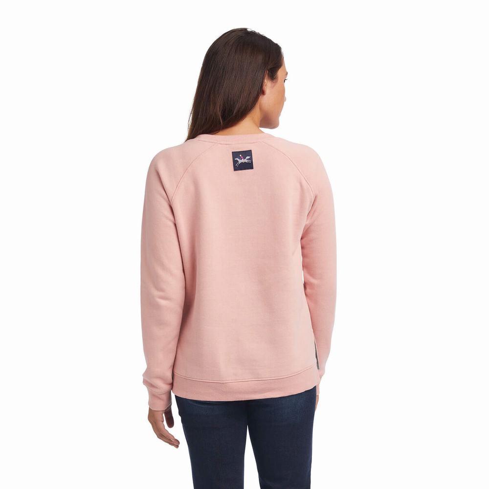 Pink Ariat Torrey Women's Hoodies | XHRM90348