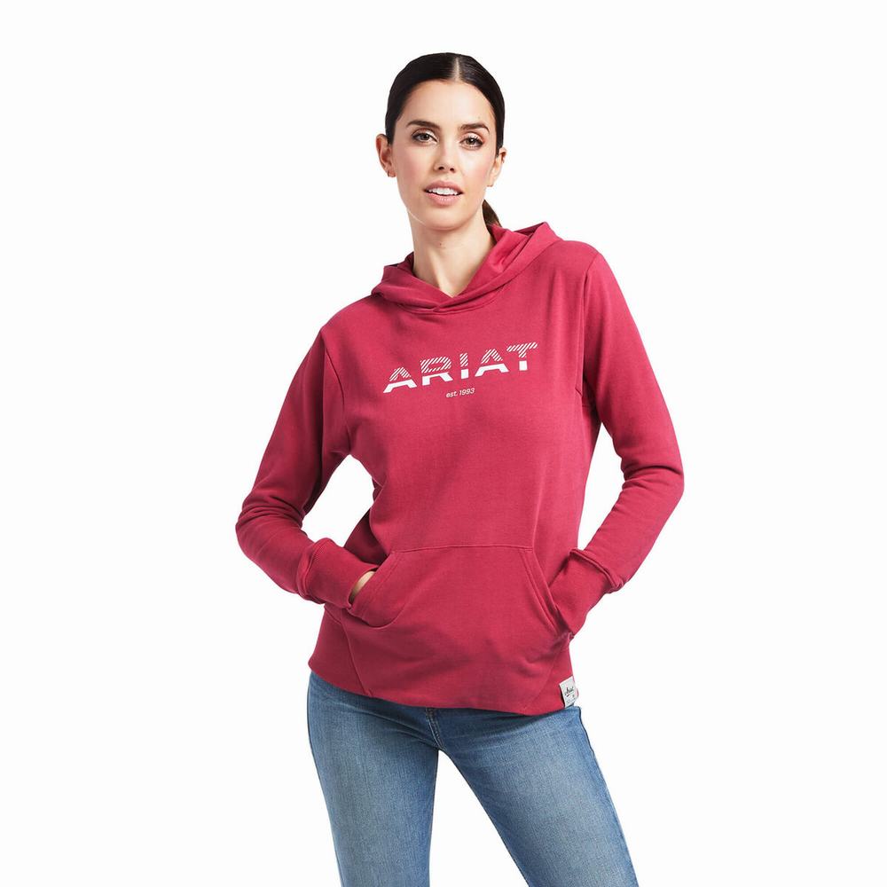 Red Ariat 3D Logo 2.0 Women\'s Hoodies | GZLU05297