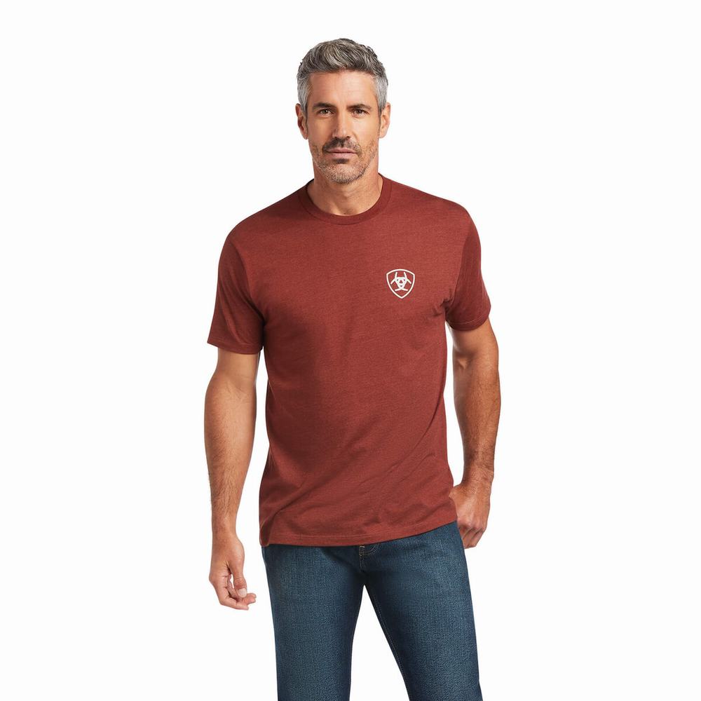 Red Ariat Farm Men's Polo Shirts | ERVQ92738