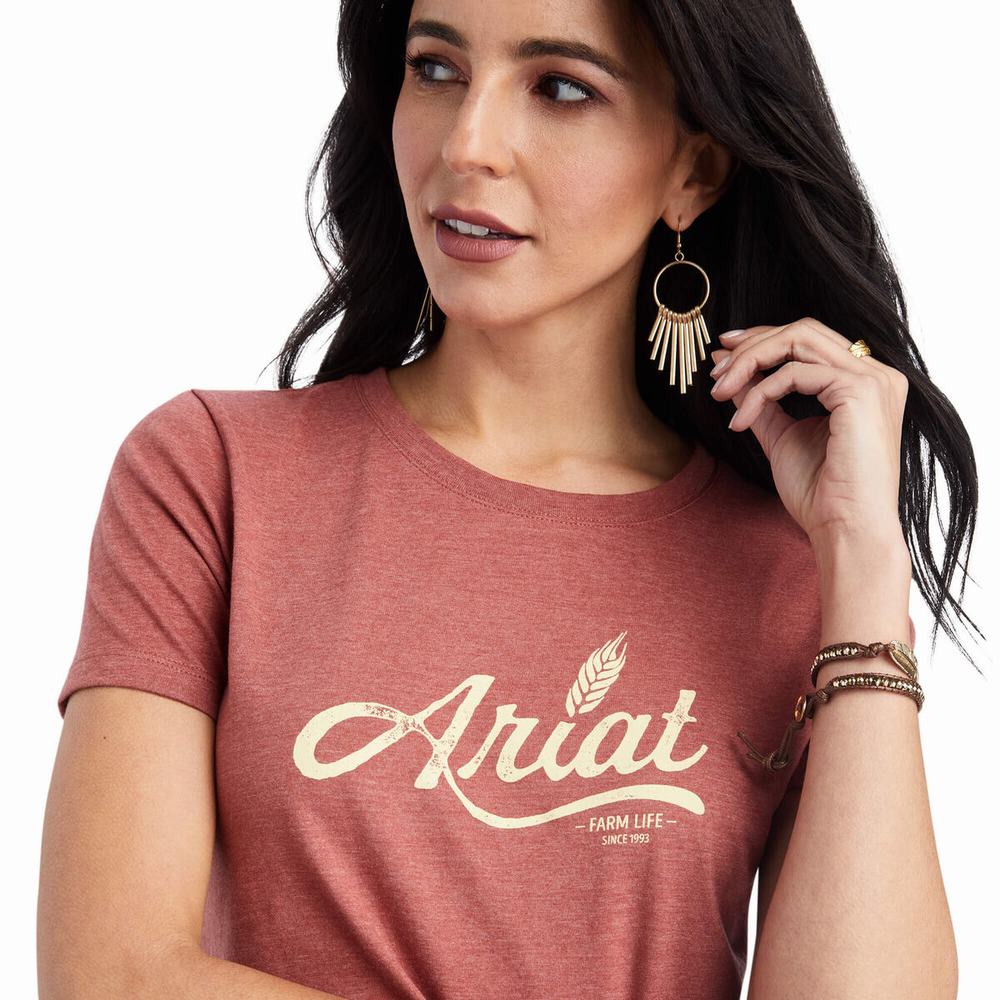 Red Ariat Wheat Script Women's Tops | UBDR16739