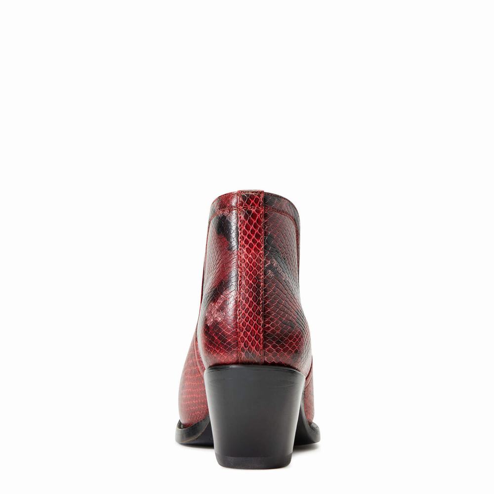 Red Snake Ariat Dixon Women's Booties | GMFS30876