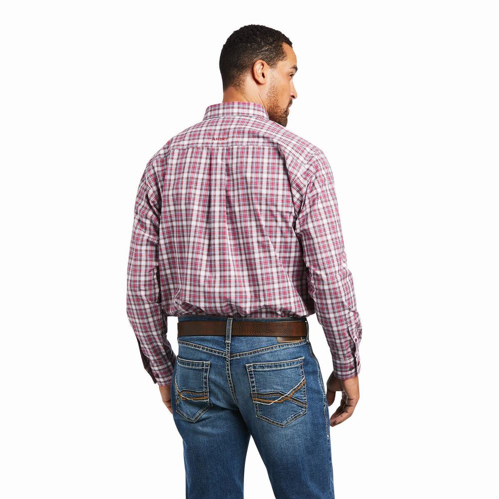 Rose Ariat Pro Series Judson Classic Fit Men's Shirts | EHDB08527