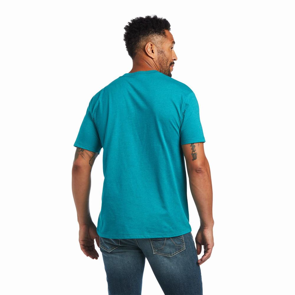 Turquoise Green Ariat Gradient Men's Polo Shirts | ZEQK32586